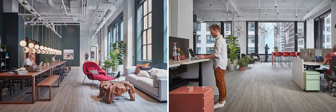 �칫����װ�����